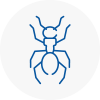 Ant Removals In Mortimer