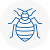 Bed Bug Extermination In Mortimer