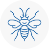 Mortimer Hornet Nest Removals