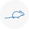 Mice Exterminators In Mortimer