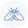 Moth Control Specialists In Mortimer