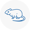 Rat Control Mortimer