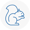 Mortimer Rodent Removals