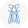 Mortimer Wasp Nest Removal